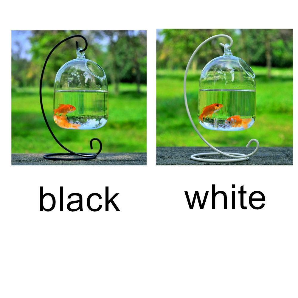 Bể Cá Mini Bằng Thủy Tinh Có Chân Đứng Kính