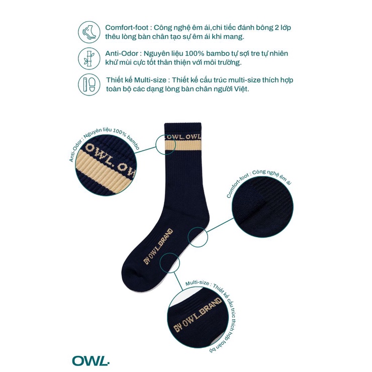 OWL BRAND® STRIPE SOCK - Combo hai tất cổ trung màu Xanh đen- OWL101121