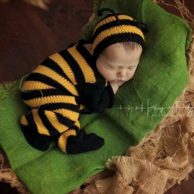 Body len liền thân newbornchú ong chăm chỉ.