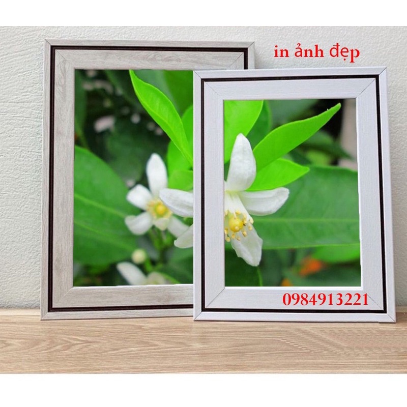 com bo ảnh kèm khung 20x30