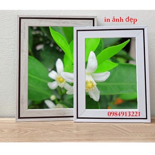 Com bo ảnh kèm khung 20x30