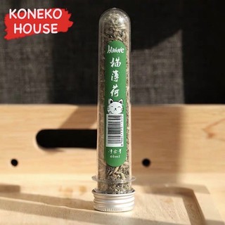 Catnip / Catmint / Cỏ bạc hà cho mèo