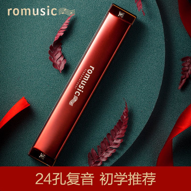 Harmonica. Kèn harmonica 28 Lỗ. Kèn Harmonica 24 Lỗ Polyphonic Chuyên Nghiệp Cho Người Mới Bắt Đầu