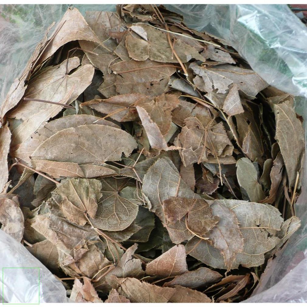 Lá dâm dương hoắc