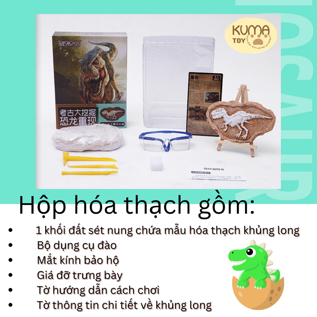 Bộ đồ chơi khảo cổ học đào hóa thạch khủng long Dinosaur - Mô hình đồ chơi giáo dục trẻ em