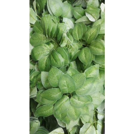 100gr LÁ HOA HỒNG IN VÂN LOẠI GIỐNG THẬT ,DÙNG CẮM ,BÓ HOA SÁP HOA GIẤY ,HOA HANMADE