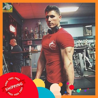 Áo Tập Gym Nam Body Ngắn Tay Đầu Sói