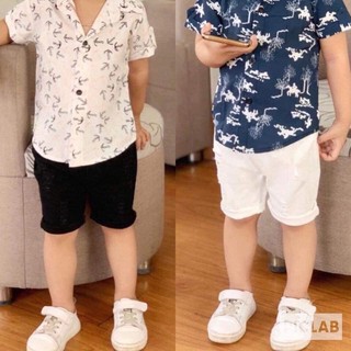 Sỉ Quần kaki thô mềm cho bé