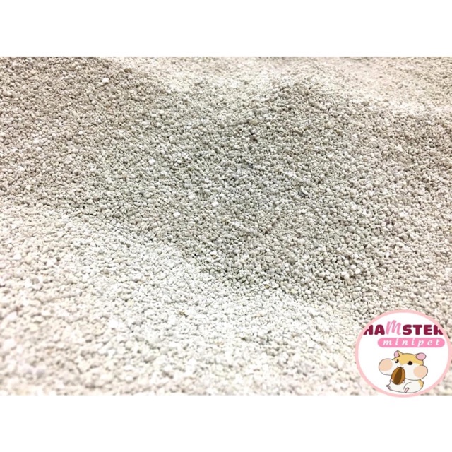 Cát buddy trắng cho hamster