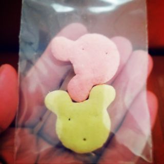Cookie sữa kiêm mài răng cho hams, sóc, bọ, nhím