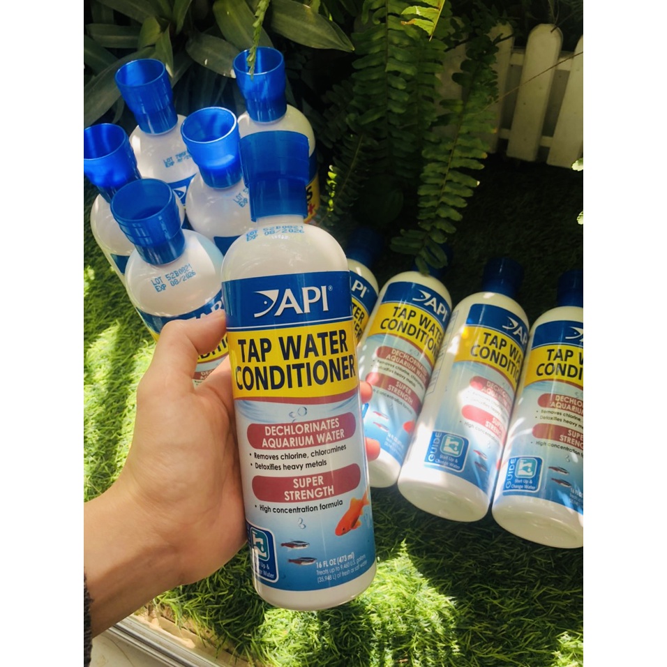 API TAP WATER CONDITIONERS 473ML Dung dịch Khử clo, Kim loại nặng nước máy-Siêu đậm đặc- Siêu tiết kiệm cho bể cá cảnh