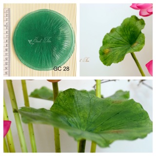 Gân hoa đất sét- gân lá sen tròn size trung