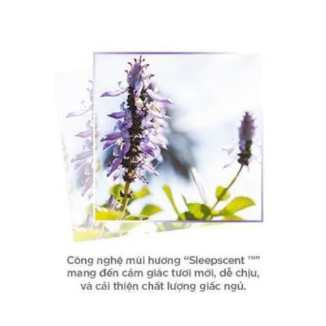 [FREESHIP-TOÀN QUỐC] Mặt nạ ngủ dưỡng ẩm Laneige Water Sleeping Mask 70ml | BigBuy360 - bigbuy360.vn