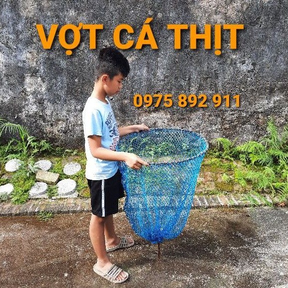 VỢT CÁ THỊT KHI THU HOẠCH , CHUYỂN CÁ LỒNG SANG LỒNG
