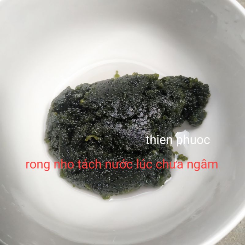 Rong nho tách nước 100gr - tặng 1 gói sốt mè rang