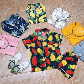 Set 3 bộ trái cây gia đình