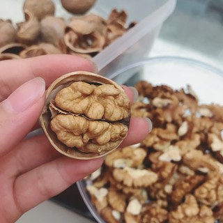 Nhân Óc chó Mỹ nhập khẩu