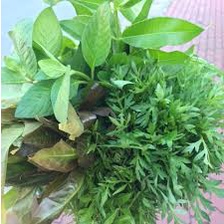 Rau rừng tây ninh