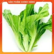 HẠT GIỐNG CẢI CANH HỒNG KÔNG CAO SẢN GÓI 20 GRAM