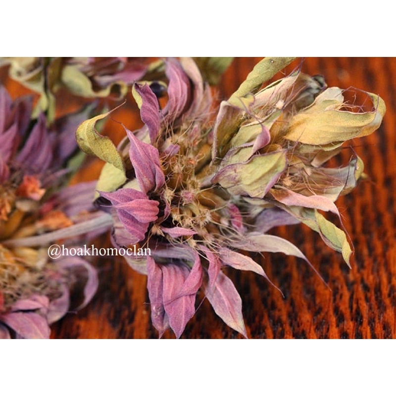 Hoa khô bạc hà Lemon Mint màu tím vintage, cắm lọ trang trí decor phong cách bắc âu cổ điển