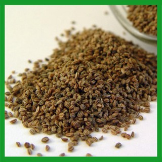 Hạt giống Cà Chua Bi