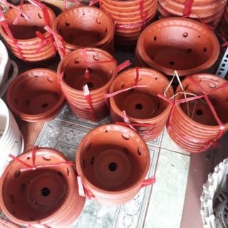 Chậu gốm trồng lan phi 20+móc treo