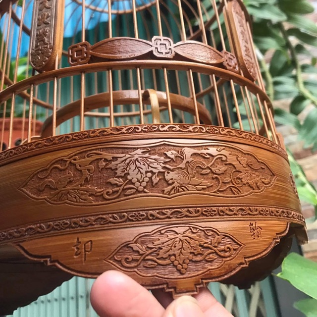 Mẫu lồng hít hót 2019