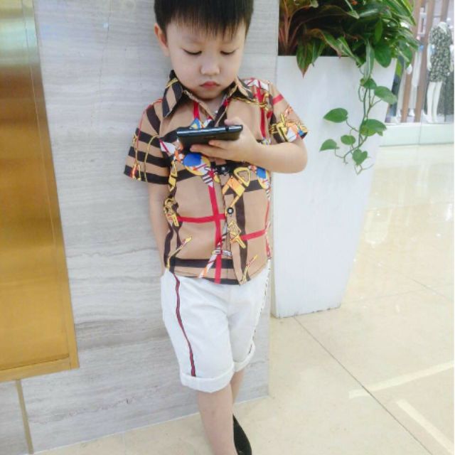 LÔ ÁO SƠ MI LỤA