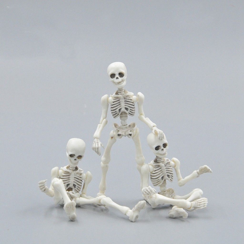 Mô Hình Bộ Xương Người Linh Hoạt