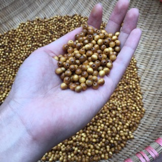 Chuyên sỉ- lẻ hạt dâu tằm