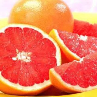CÂY GIỐNG CAM CARA RUỘT ĐỎ