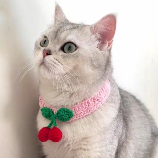 Handmade pet fashion ( mũ- khăn bằng len cho thú cưng )