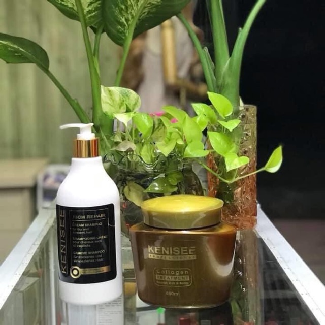 COMBO cho tóc muốn phục hồi
