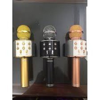 Micro hát Karaoke Kèm Loa WS-858