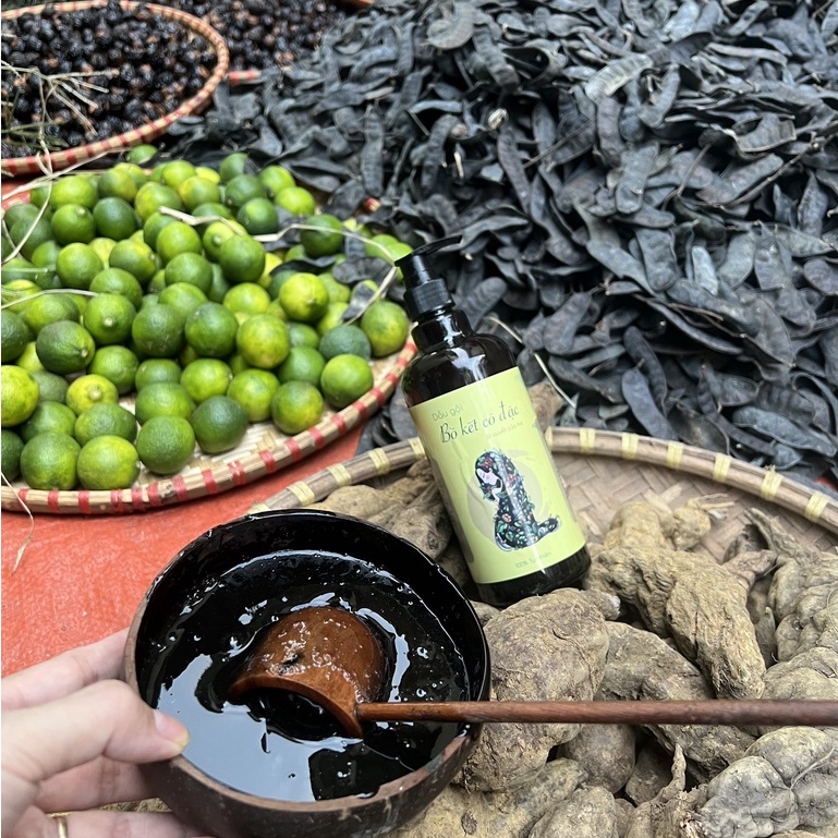 Dầu Gội Đầu Bồ Kết Cô Đặc Thiên Nhiên - Dầu Xả Thảo Dược Dưỡng Tóc Ngăn Rụng Tóc - 500 ml