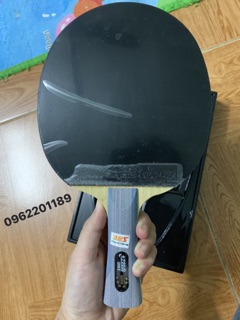 Vợt bóng bàn DHS 6002