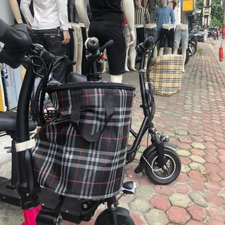 Giỏ xe điện tiện lợi