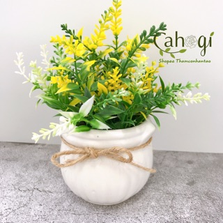 Hoa Giả - Chậu Hoa Đỗ Cắm Sẵn