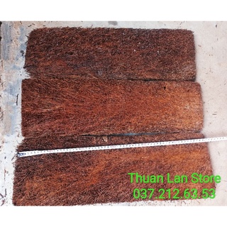 Dớn Bảng Lớn Trồng Lan Dày Đẹp Dài 20×60cm