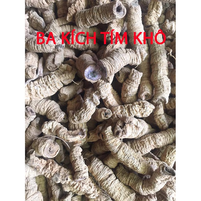 Ba kích tím quảng ninh (1kg), ba kích tím, ba kích khô, đã rút lõi làm sạch, phơi khô về chỉ việc ngâm