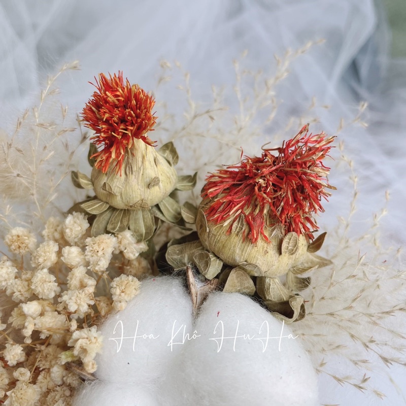 Chậu Hoa Khô Mix Nhiều Loại ( Bông gòn, Baby, tóc tiênn)