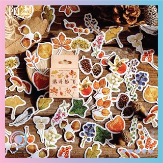 Sticker hộp vuông nhiều tấm dùng để trang trí