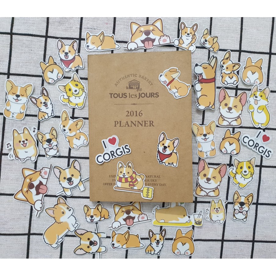 Set 40 sticker chó corgi