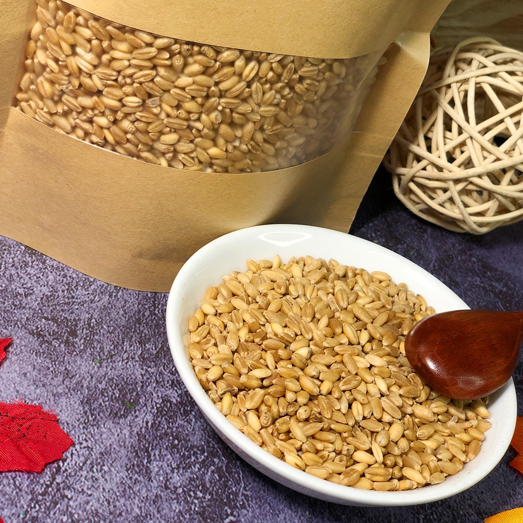1Kg Hạt Giống Cỏ Lúa Mì, Cỏ Mèo, Không Biến Đổi Gen - Hỗ trợ tiêu hóa, Bổ sung chất xơ ☀️ Nông Sản Hani Food