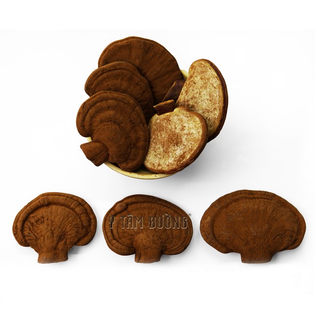 Nấm linh chi đỏ Nhật Bản thượng hạng - thái lát