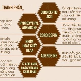 ĐÔNG TRÙNG HẠ THẢO KHÔ - 100GRAM