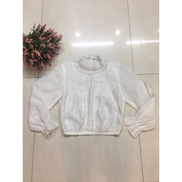 Áo elise và ivy thanh lý