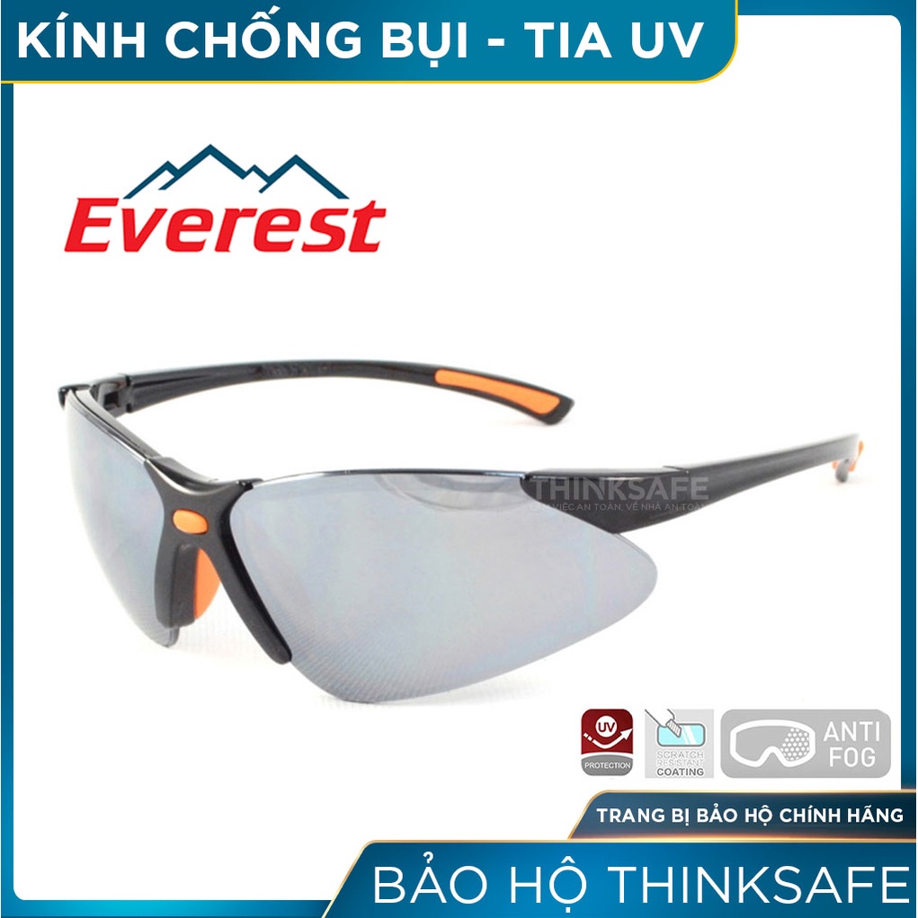 Kính bảo hộ Everest Thinksafe, che chắn bụi đi đường, ôm theo khuôn mặt, bảo vệ mắt đa năng chống tia UV - EV304 đen bạc