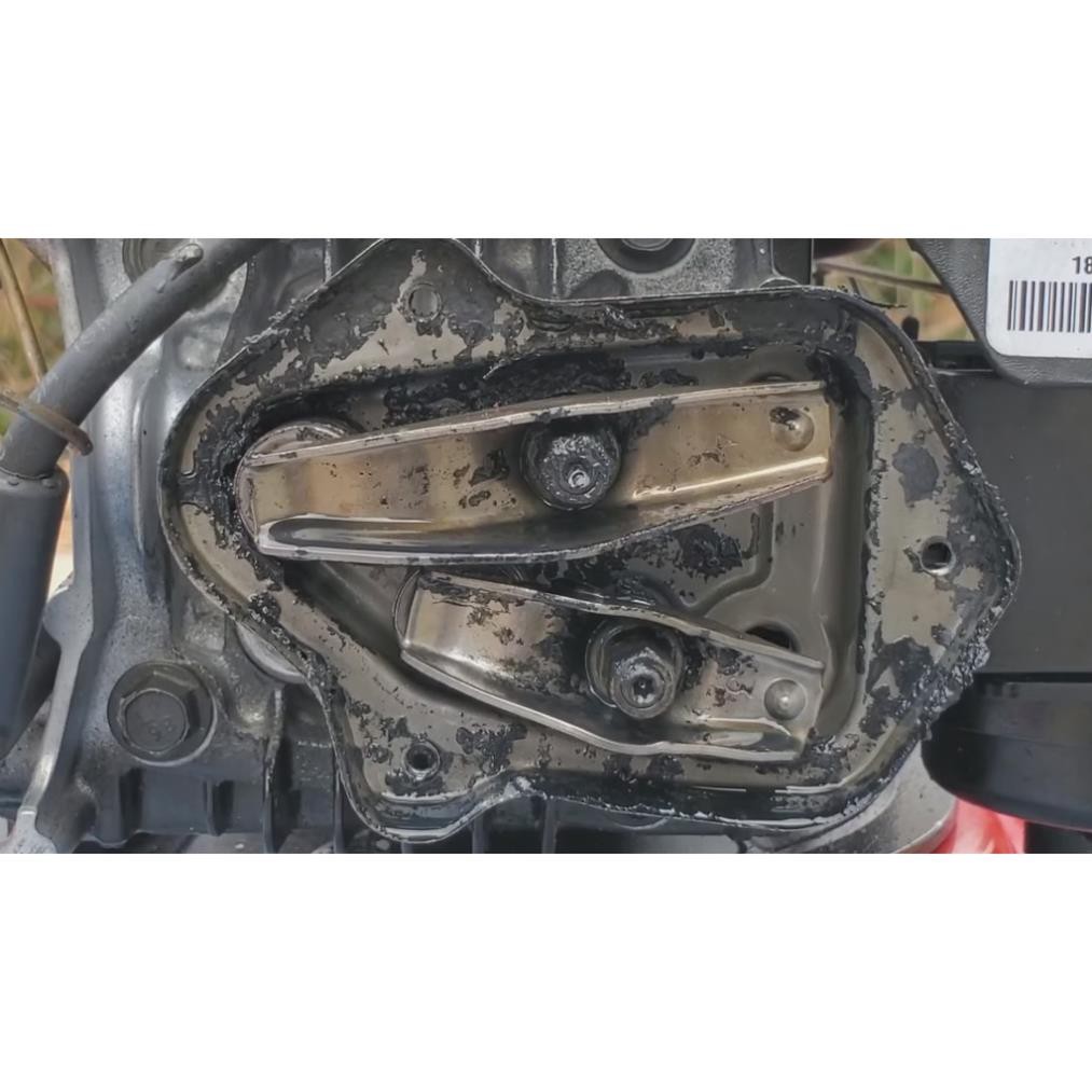 Dung Dịch Súc Rửa Động Cơ - Senfineco Motor Flush Engine Oil System Flush 9991