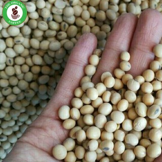 1kg | đậu nành tươi - đỗ tương nguyên hạt